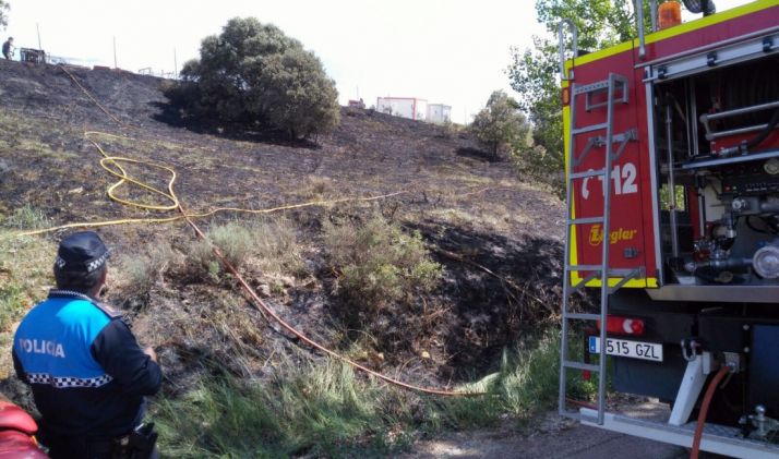 El terreno quemado en Los Royales. /Ayto.