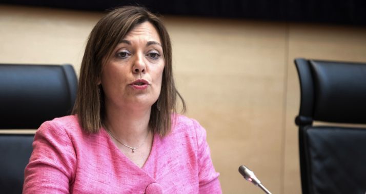 Milagros Marcos, este martes en la presentación de las cuentas de su Departamento.