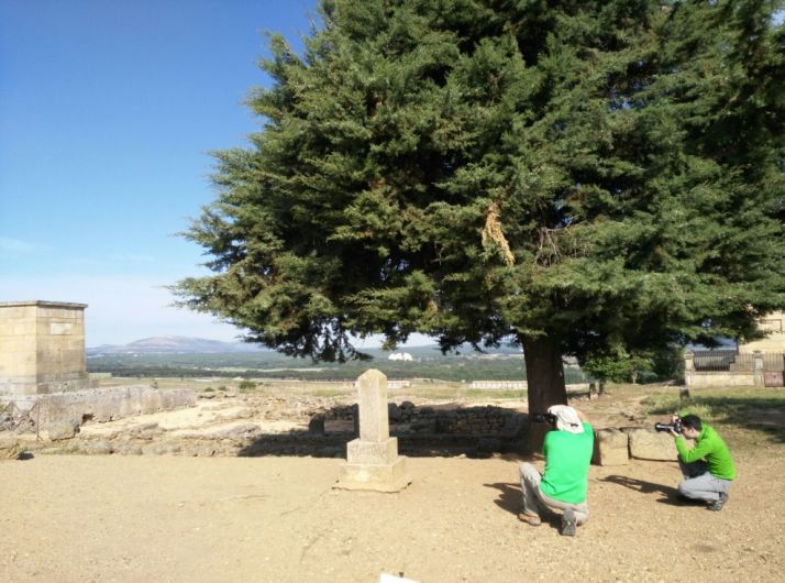 Imágenes del Rally fotográfico/ SUB.GOB.