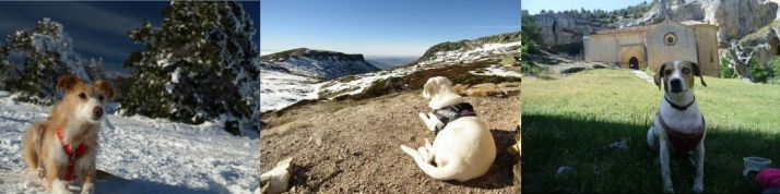 Varias de las fotos candidatas.