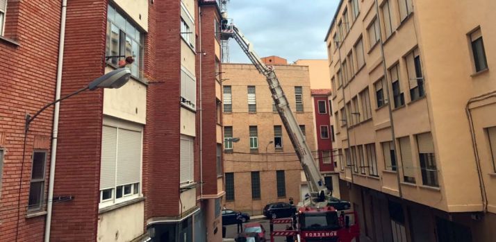 El operativo para retirar el enjambre.