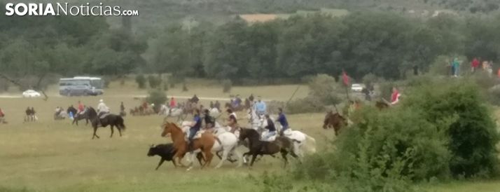 Vídeo de la salida de los toros de los corrales de Valonsadero (Mariló Val))