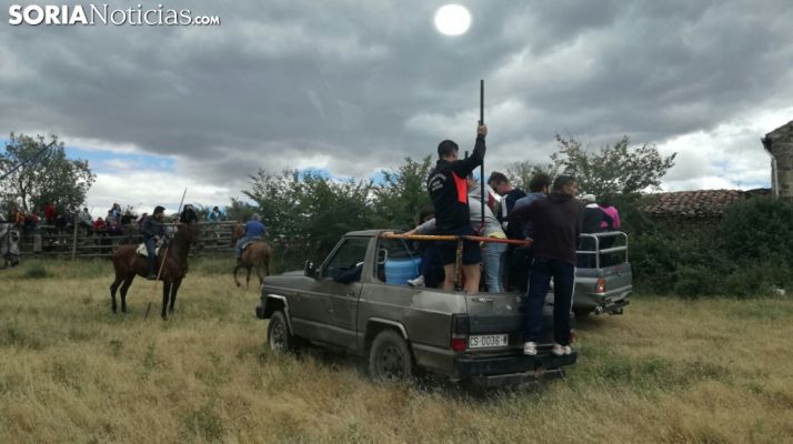 Llegada de los novillos a Soria