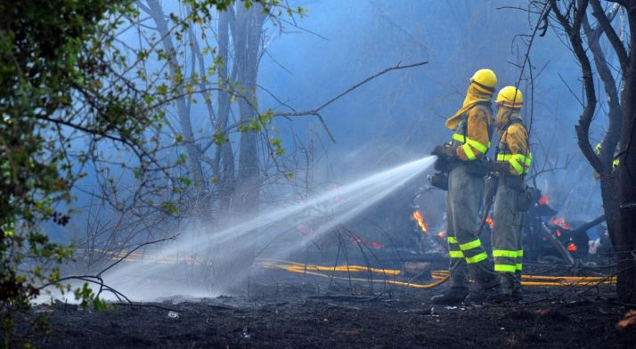Personal anti incendios en un fuego forestal en la provincia./SN