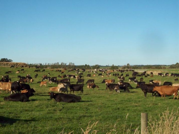 La partida es de 200.000 €.