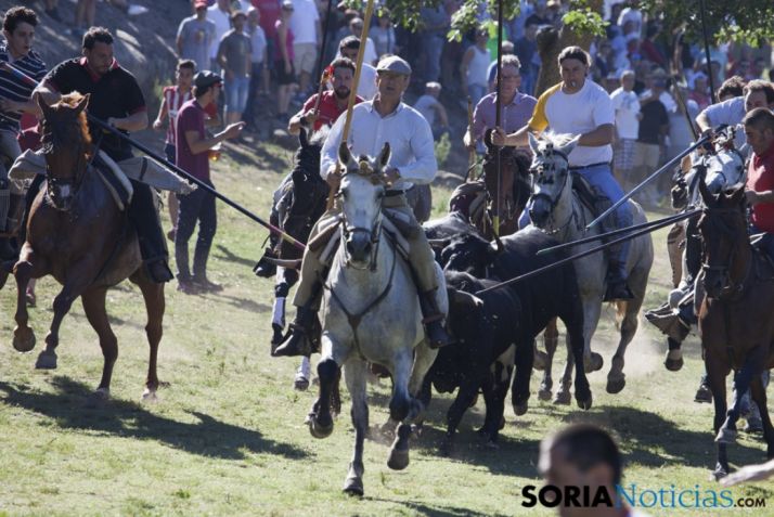 La comprilla en fotos y sin incidentes con los toros