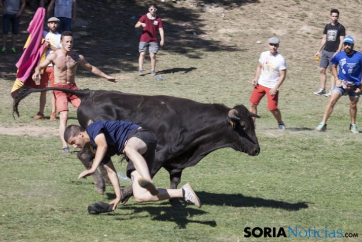 Fotos de una Compra tranquila con algún pequeño susto