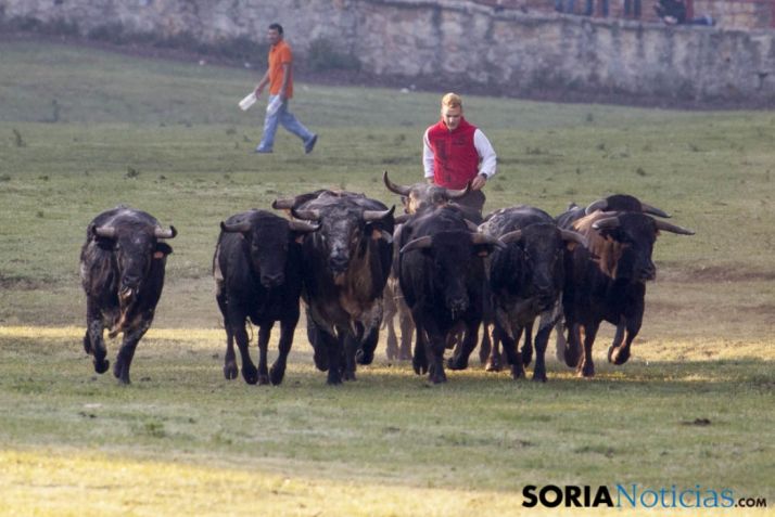 Así ha sido la mañana del Lavalenguas en imágenes