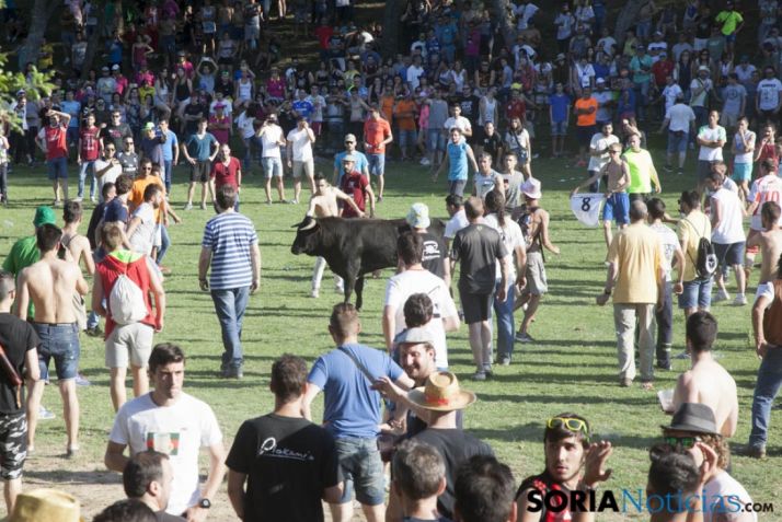 Galería de fotos del Lavalenguas