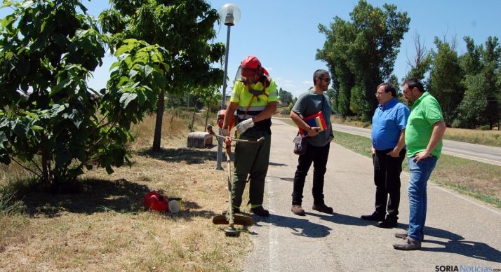 Las brigadas forestales han actuado ya en una veintena de municipios