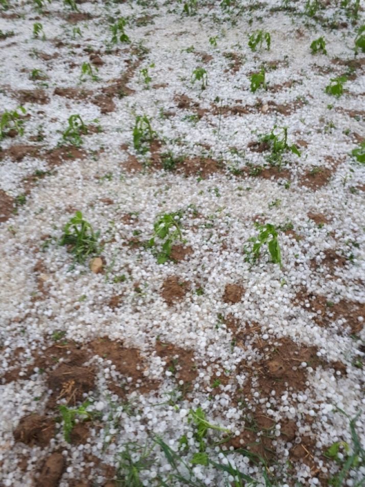 El granizo ha caído con fuerza en Espeja de San Marcelino.