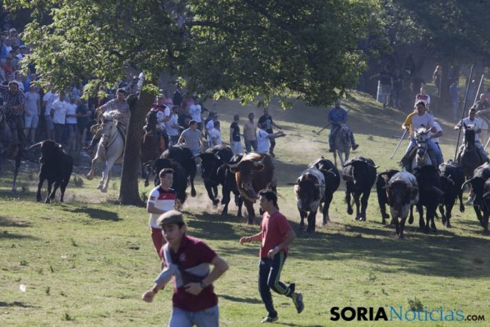 Imagen del Lavalenguas/ MF