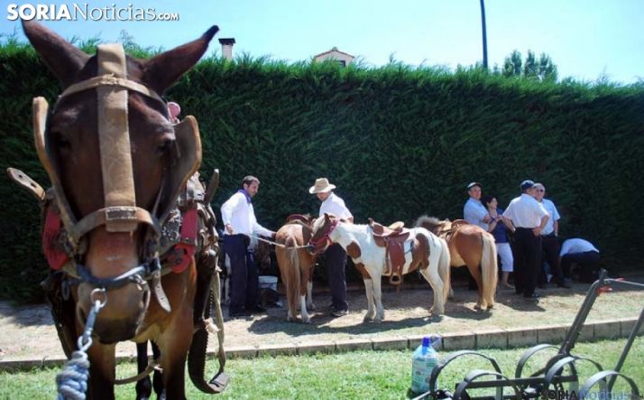 Imagen del mercado tradicional de Almarza./SN