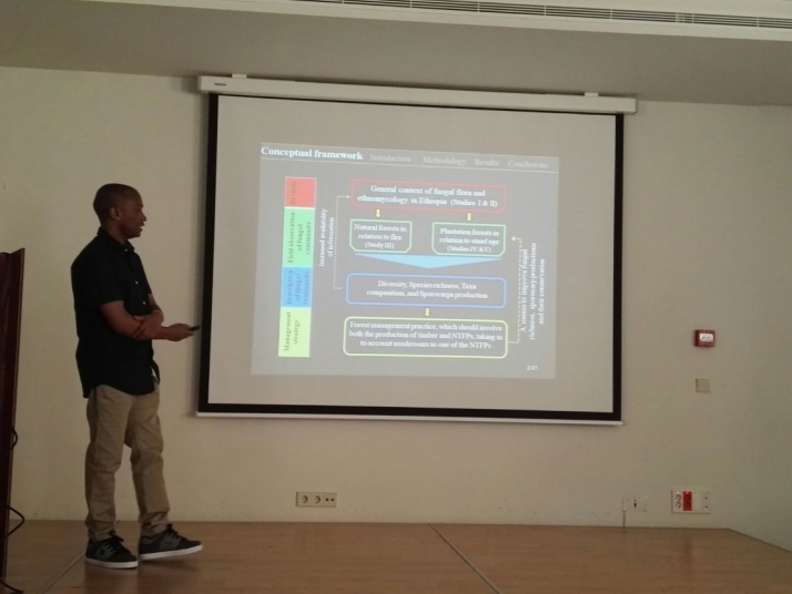 Investigadores de la UVa hallan setas comestibles de gran valor comercial en Etiopía