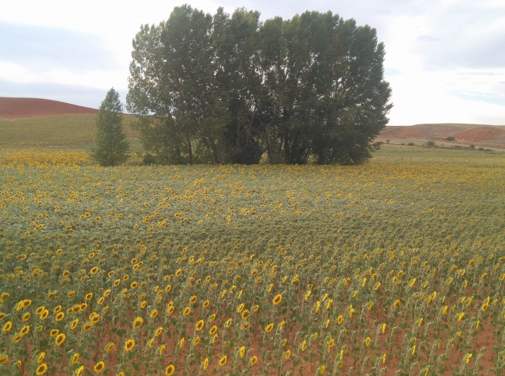 El paseo marítimo de los pueblos de Soria