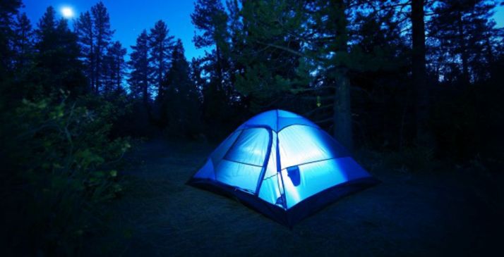 Una tienda de campaña en un pinar.