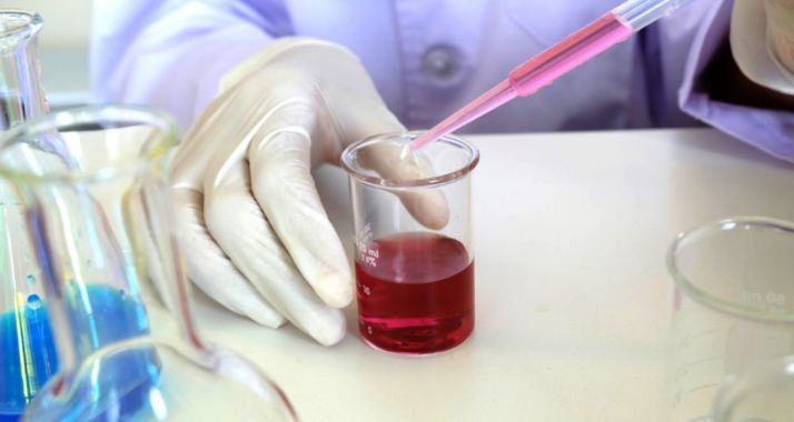 Las bases de la conovatoria, en el Bocyl.