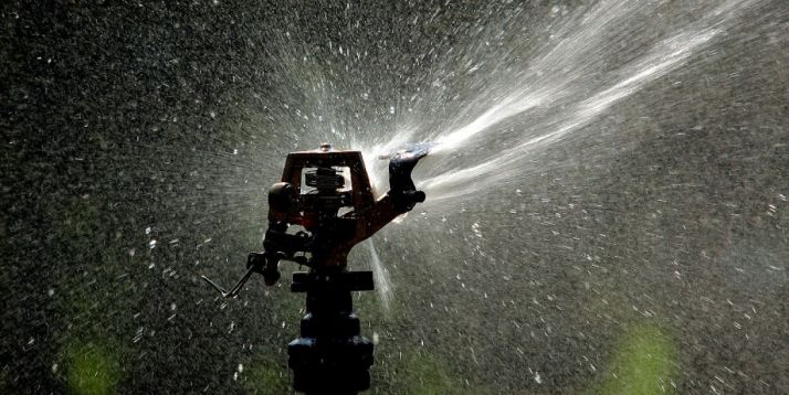 Ante la escasez de recursos.