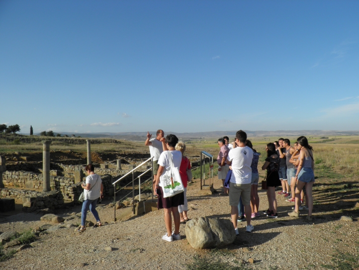 Una veintena de jóvenes de toda España participan en el campo de trabajo ‘La Numancia celtibérica’