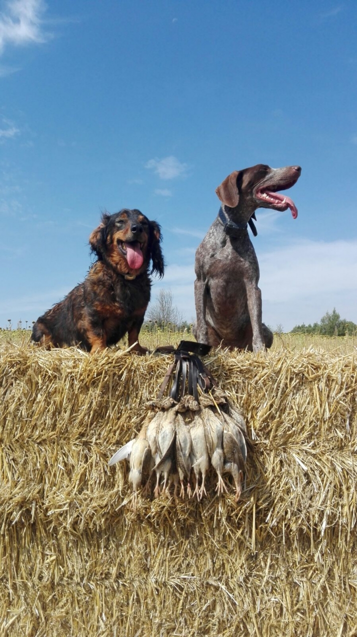 La media veda ha comenzado hoy en Soria