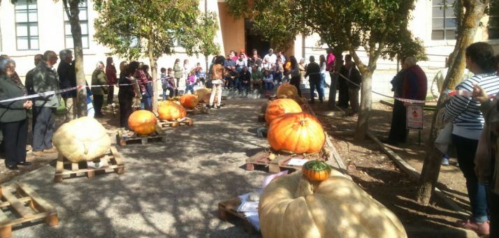  Carlos de Diego se lleva el premio a la mayor calabaza sanestebeña
