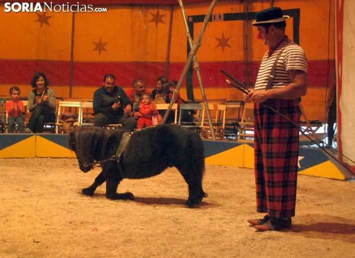 Una de las escenas del circo./SN