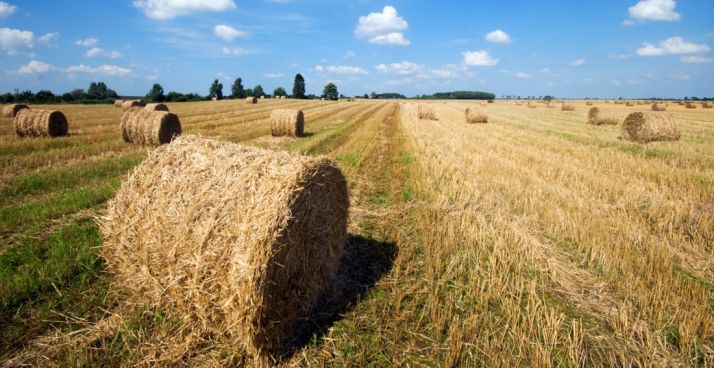 La Junta firma un convenio con Agroseguro para anticipar la ayuda y abonarla en el momento de suscribir la póliza del seguro