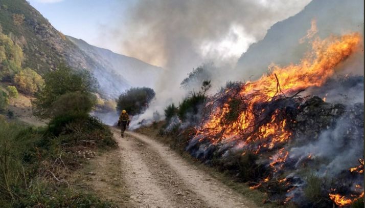Un operario de la Brif de Tabuyo en uno de los incendios en León. /Brif Tabuyo 