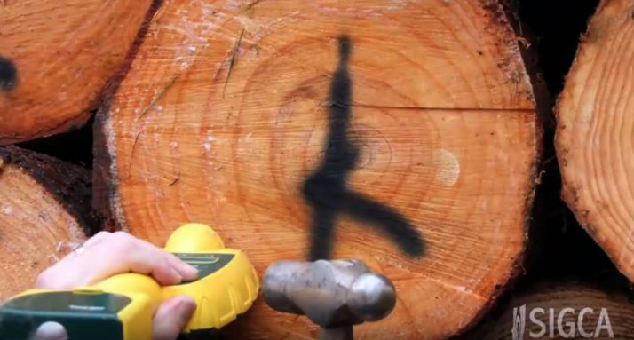 El Cesefor organiza una jornada sobre gestión forestal de madera de calidad