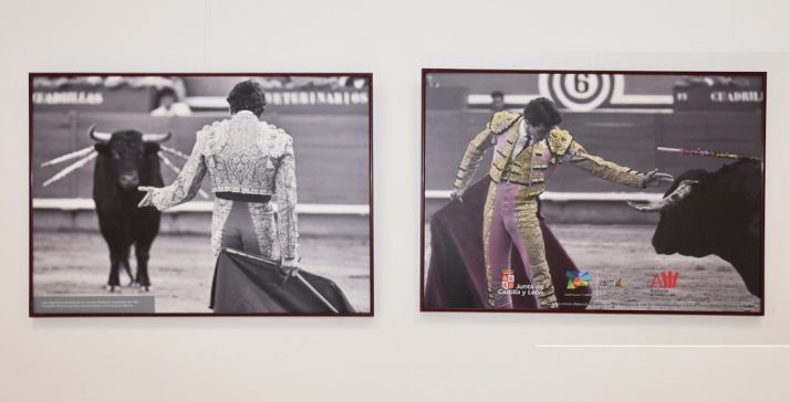 Algunas imágenes de la muestra./Jta.