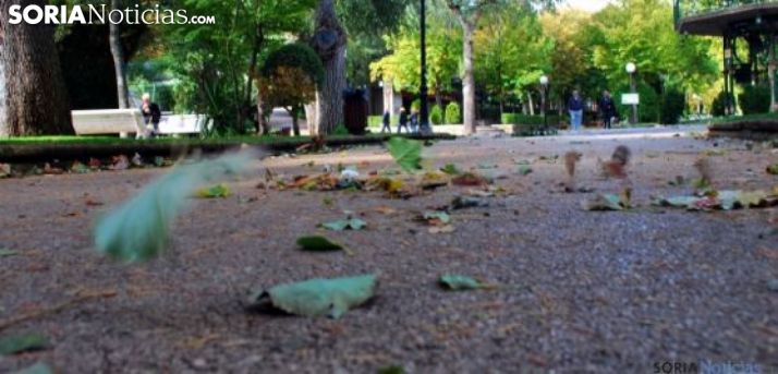 Imagen de archivo de la Alameda de Cervantes. /SN