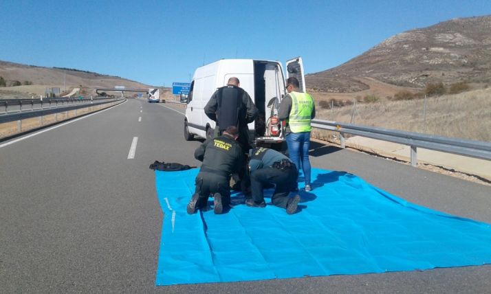 Cortada la A-15 a la altura de Medinaceli por una falsa amenaza de bomba en un autobús