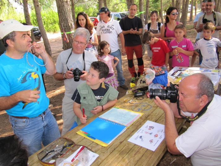 Este finde, avistamiento y anillamiento de pájaros en Tierras Altas