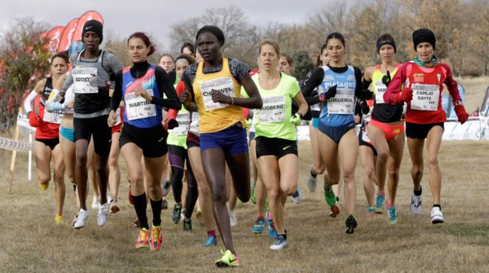 El Cross de Soria muestra su nueva cartelería