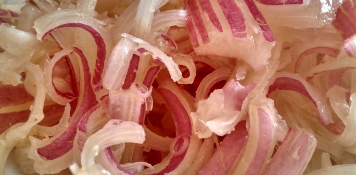 Cardo rojo de Ágreda