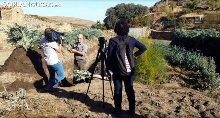 Un equipo de TVE toma imágenes del cultivo en una imagen de archivo.