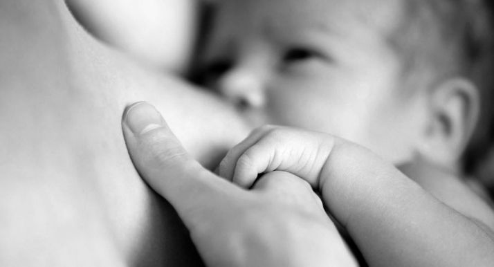 Los términos pueden ser leídos en el Bocyl, que acompaña a esta información. 