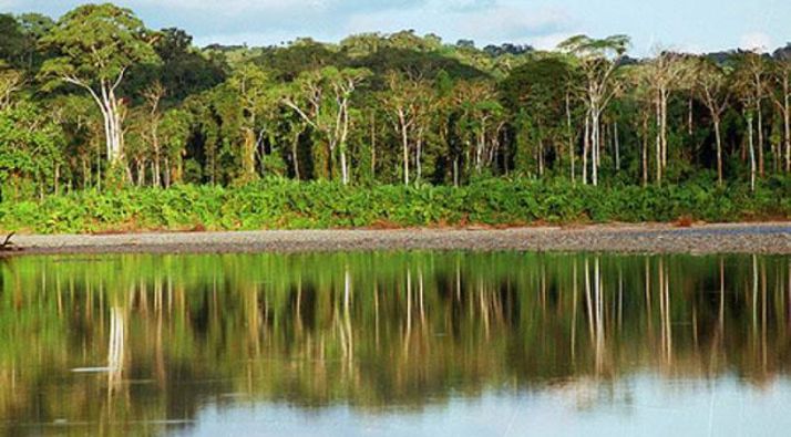 Imagen del Parque Nacional del Manu, en aquel país. 