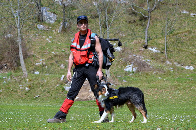 Exhibición canina en Almazán y Soria