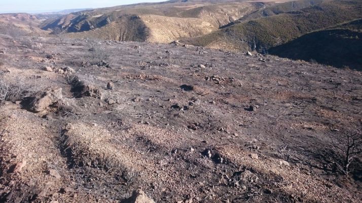 Incendio forestal en Ágreda