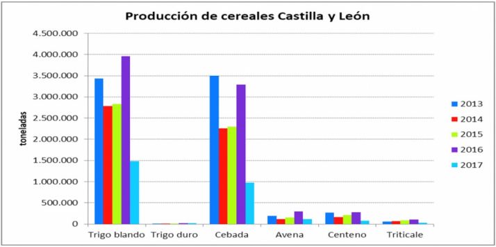 Producción de cereales este 2017. 