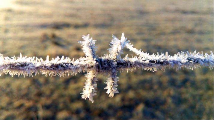 Una imagen tomada por Agustín Sandoval en Duruelo esta mañana de Navidad. /AS