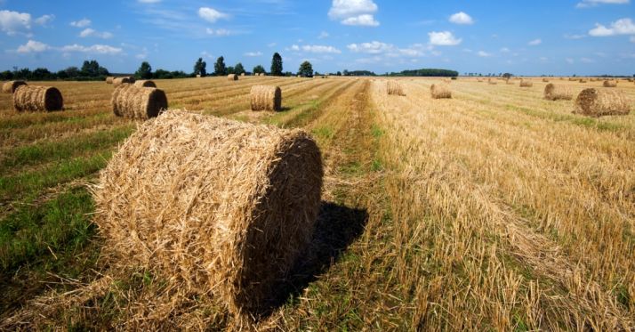 Puede ser descargada en el adjunto que acompaña a esta información