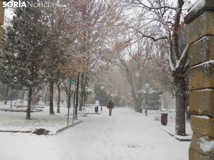 Nevada durante la jornada del viernes 1 de diciembre en Soria.