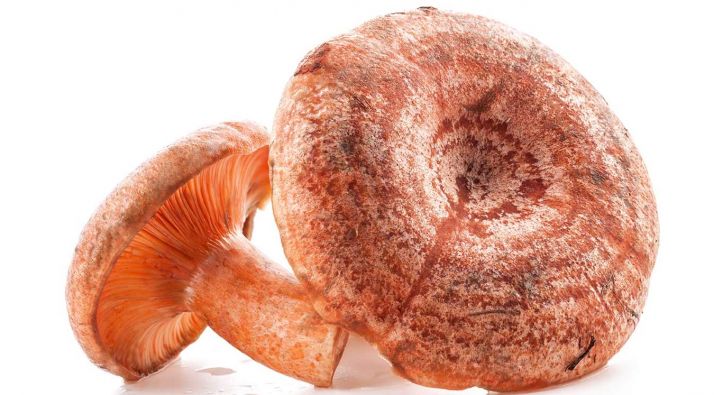 Nicola, gran conocida por redescubrir en Tardelcuende