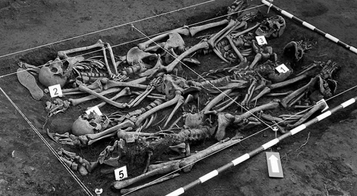 Una fosa con restos de represaliados hallada en Barcones. /ARDS