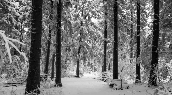 Aviso amarillo por nieve para este jueves en Soria