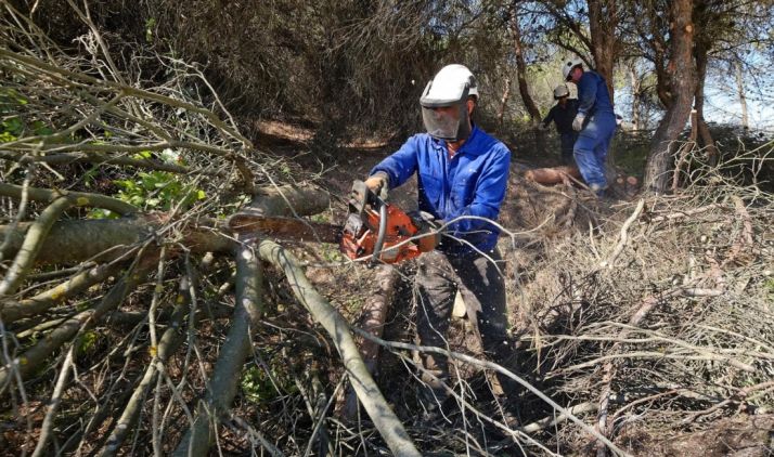 Las labores se centrarán en la demarcación de Almarza. 