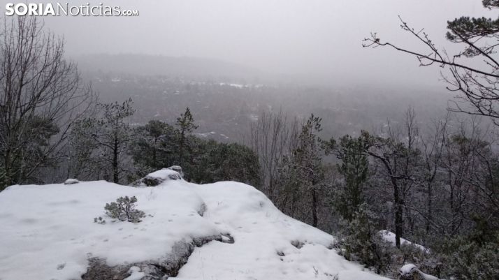 Vistas del monte de Covaleda. /Rosaura Mateo