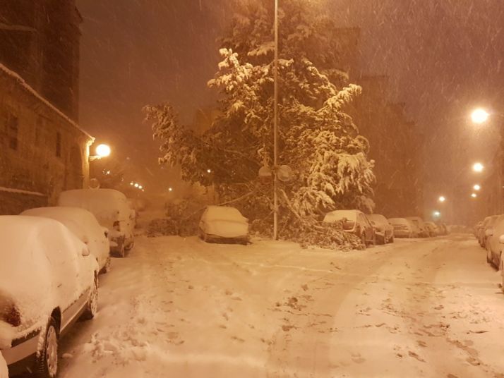 Ramas caídas en un árbol de grandes dimensiones en la c/ Alférez Provisional con Santo Domingo.